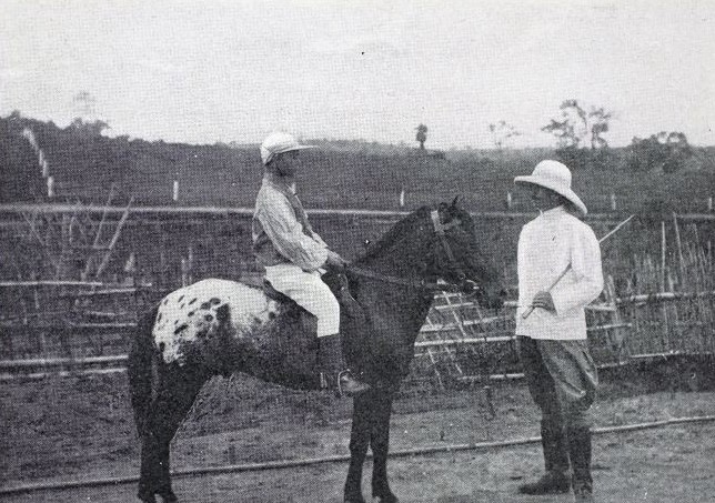 Ảnh = Ký ức = Lịch sử (kỳ 70): Quần ngựa ở Hà Nội - Ảnh 19.