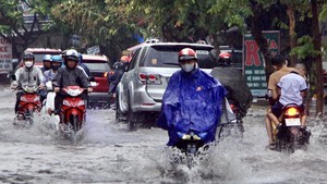 TP. Hồ Chí Minh: Mưa to gây ngập, giông lốc làm đổ nhiều cây 
