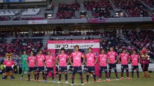 Link trực tiếp Cerezo Osaka vs FC Tokyo. Trực tiếp bóng đá J-League 1