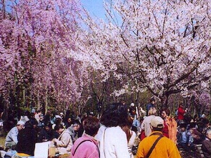 Một số lễ hội mùa xuân hấp dẫn trên thế giới 