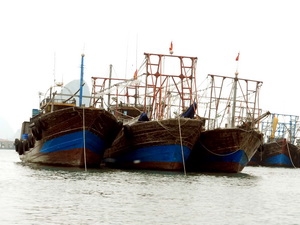  Hai tàu cá Việt Nam bị “xua đuổi” ngay tại Hoàng Sa