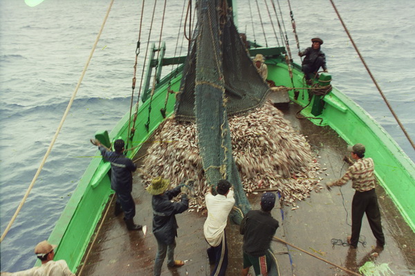 Kiên Giang phát triển bền vững nghề nuôi thủy sản ven biển đảo