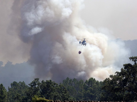 3.000 người tháo chạy khỏi đám cháy rừng, Tây Ban Nha nghi có kẻ đốt