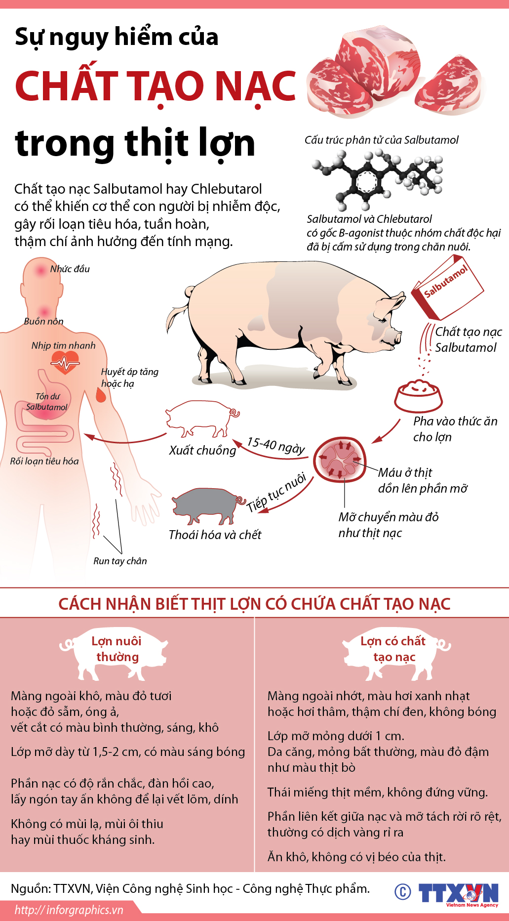 Sự nguy hiểm của chất tạo nạc trong thịt lợn