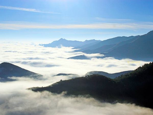 Chùm ảnh du lịch: 'Thiên đường' mây Tà Xùa đẹp mê hồn
