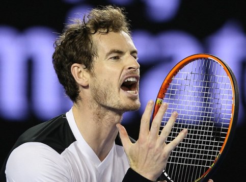 Australian Open 2015: Murray vừa chờ chung kết, vừa chờ vợ đẻ