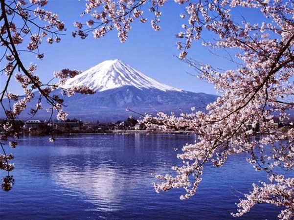 Tour Osaka-Kyoto-Núi Phú Sĩ-Tokyo-Odaiba: Nhật Bản rực rỡ mùa hoa anh đào