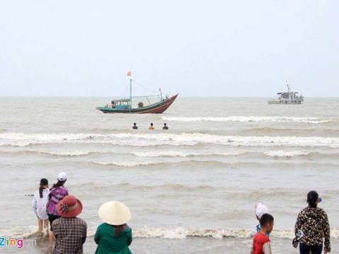 Xác minh thông tin phát hiện xác 2 con cá voi tại vùng biển Nghệ An 