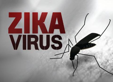 Mỹ thử nghiệm thành công vaccine phòng chống virus Zika trên động vật