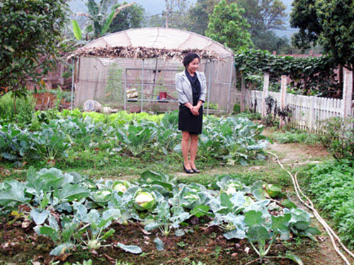 Mỹ Linh trồng rau, nuôi cá, thả gà tại trang trại ở Sóc Sơn