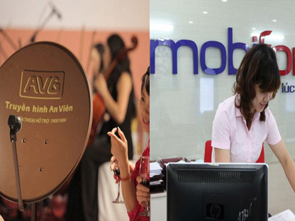 Thanh tra Chính phủ công bố quyết định thanh tra toàn diện Dự án Mobifone mua 95% cổ phần của AVG