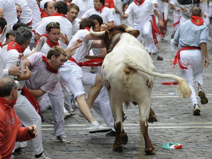 Tòa án Hiến pháp Tây Ban Nha hủy bỏ lệnh cấm đấu bò tót