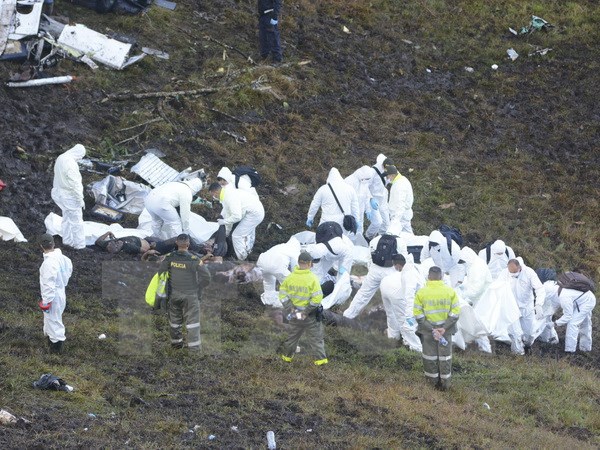 Vụ máy bay rơi ở Colombia: Đó là 'án mạng' do phi công không tuân thủ quy định bay