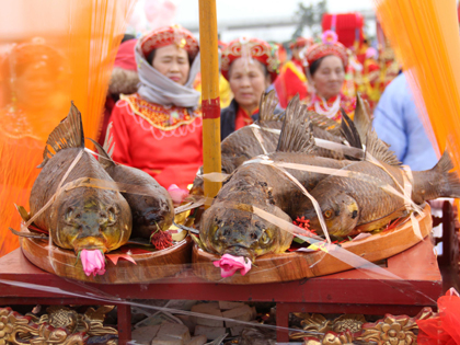Độc đáo Lễ rước cá khai hội đền Trần - Thái Bình 2017