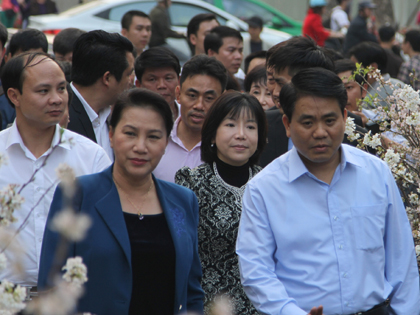 Chùm ảnh: Chủ tịch Quốc hội Nguyễn Thị Kim Ngân tản bộ thưởng lãm hoa anh đào 