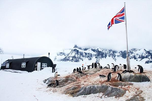 Công việc kỳ lạ ở vùng đất lạnh nhất thế giới: Đếm chim cánh cụt mỗi ngày nhưng phải vượt qua 6.000 ứng viên mới được chọn, thù lao tới 2.300 USD/tháng - Ảnh 1.