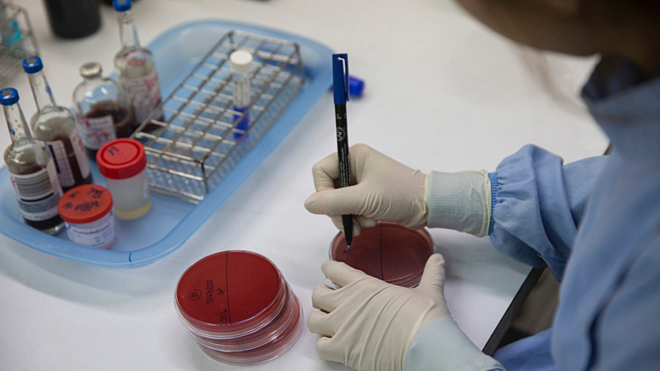 Tế bào máu nuôi cấy trong phòng thí nghiệm lần đầu tiên được truyền vào cơ thể người