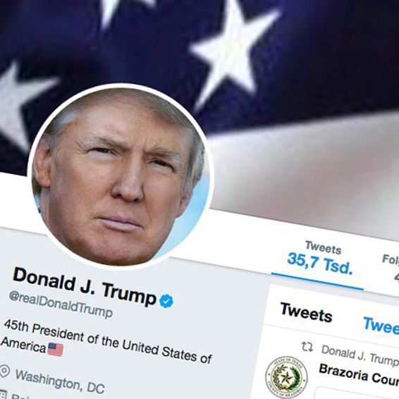 Tài khoản Twitter của cựu Tổng thống Mỹ Donald Trump được khôi phục - Ảnh 2.