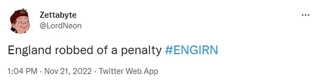CĐV đội tuyển Anh phẫn nộ khi Tam sư không được hưởng penalty - Ảnh 6.