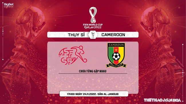 Link trực tiếp bóng đá Thụy Sĩ vs Cameroon, World Cup 2022 (17h00, 24/11) - Ảnh 3.