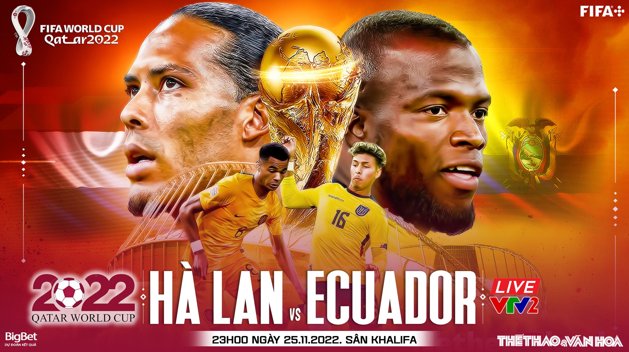 Kèo Hà Lan vs Ecuador: Nhận định, soi kèo, dự đoán kết quả