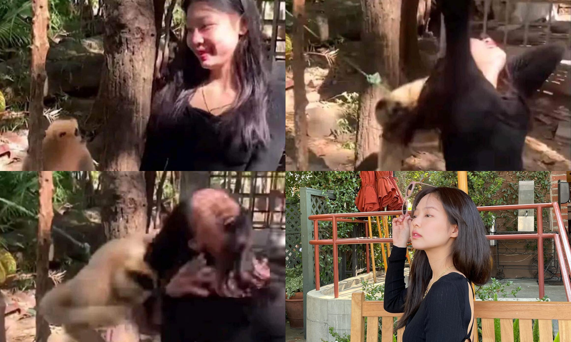 Hot rần rần ảnh Jennie (BLACKPINK) đi sở thú rồi bị khỉ... giật tóc, nhìn kĩ thấy hình như có gì sai sai - Ảnh 1.