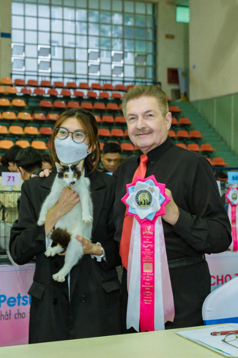 Cuộc thi sắc đẹp mèo quốc tế CFA lần đầu diễn ra tại Hà Nội - Ảnh 2.