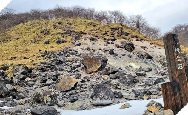 Thêm 8 con lợn rừng bỏ mạng tại hòn đá phong ấn cáo chín đuôi ở Nhật Bản, nhưng các nhà khoa học nói không bất ngờ - Ảnh 3.