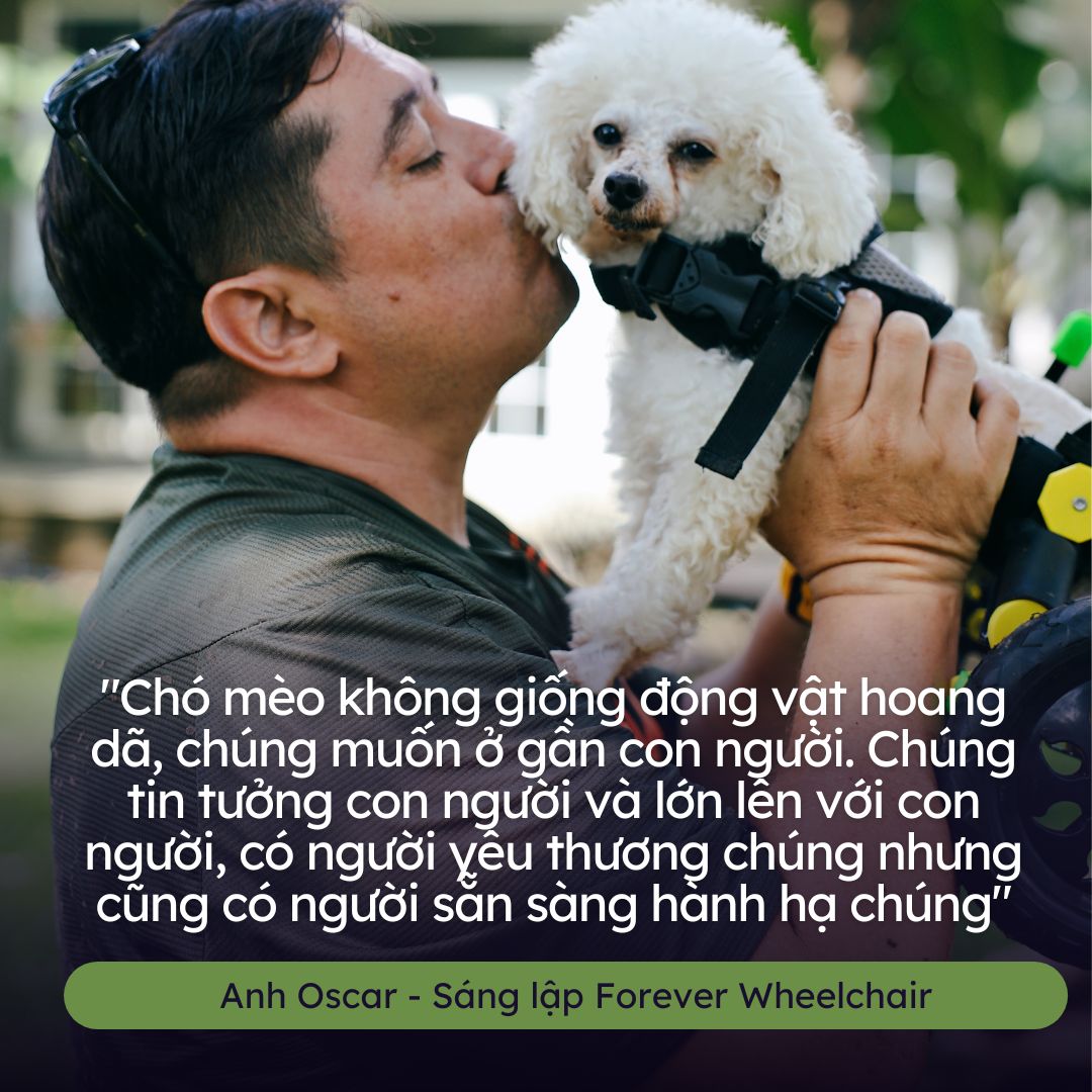 Người đàn ông ngoại quốc làm xe lăn cho chó mèo ở Việt Nam  - Ảnh 7.