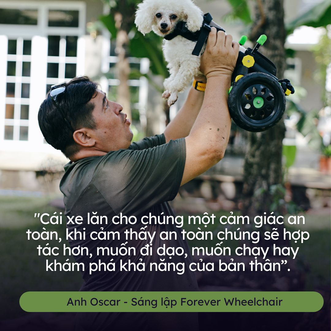 Người đàn ông ngoại quốc làm xe lăn cho chó mèo ở Việt Nam  - Ảnh 13.