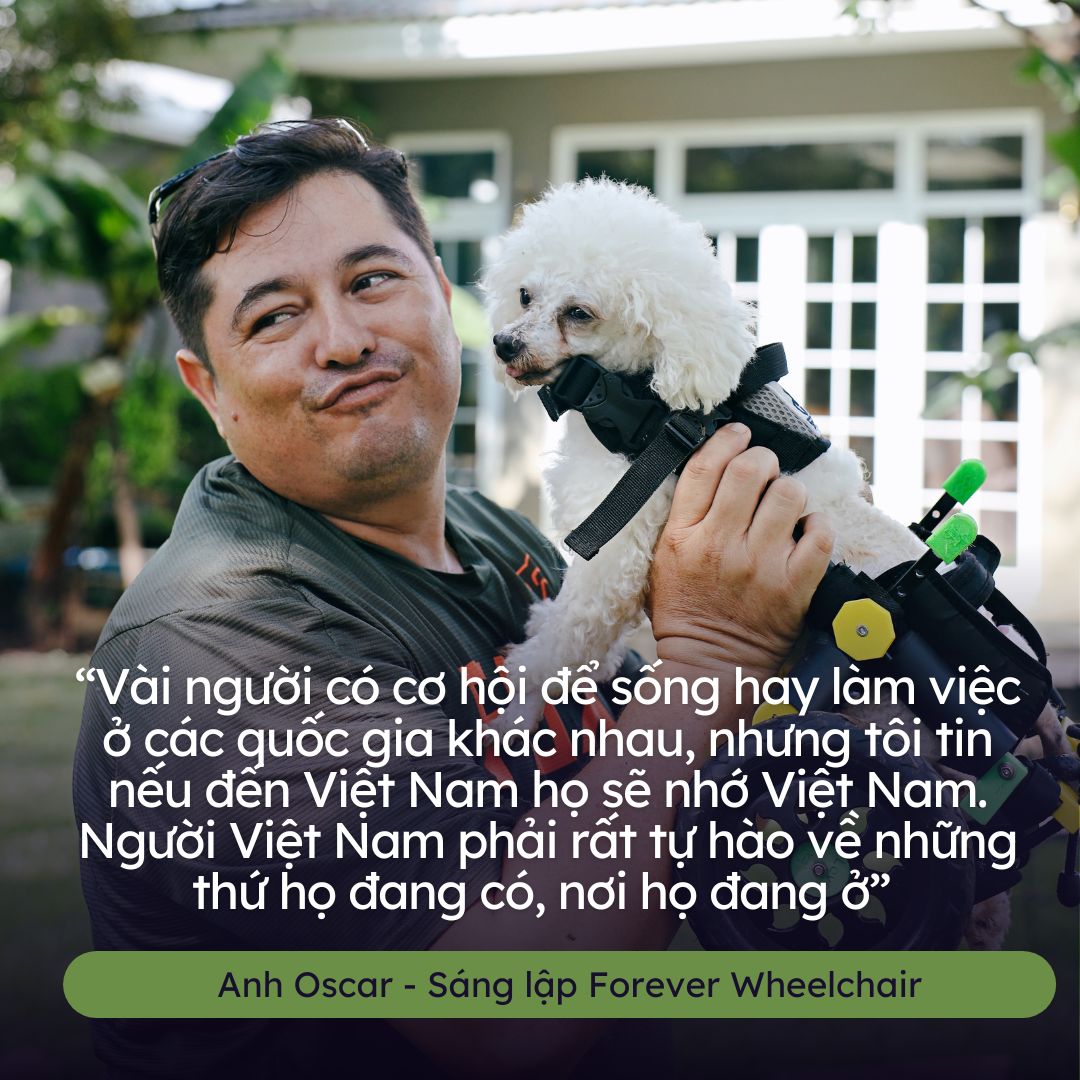 Người đàn ông ngoại quốc làm xe lăn cho chó mèo ở Việt Nam  - Ảnh 2.