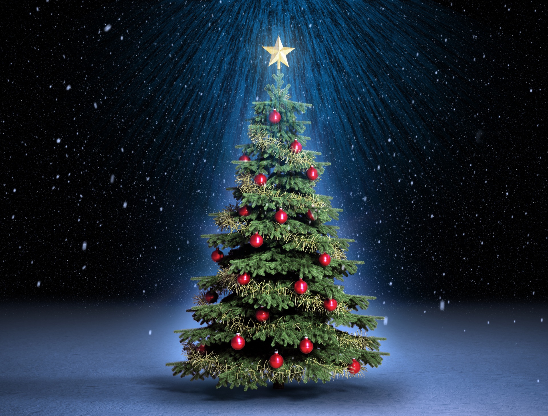 Cây Thông Hệ Thực Vật Giáng - Miễn Phí vector hình ảnh trên Pixabay -  Pixabay