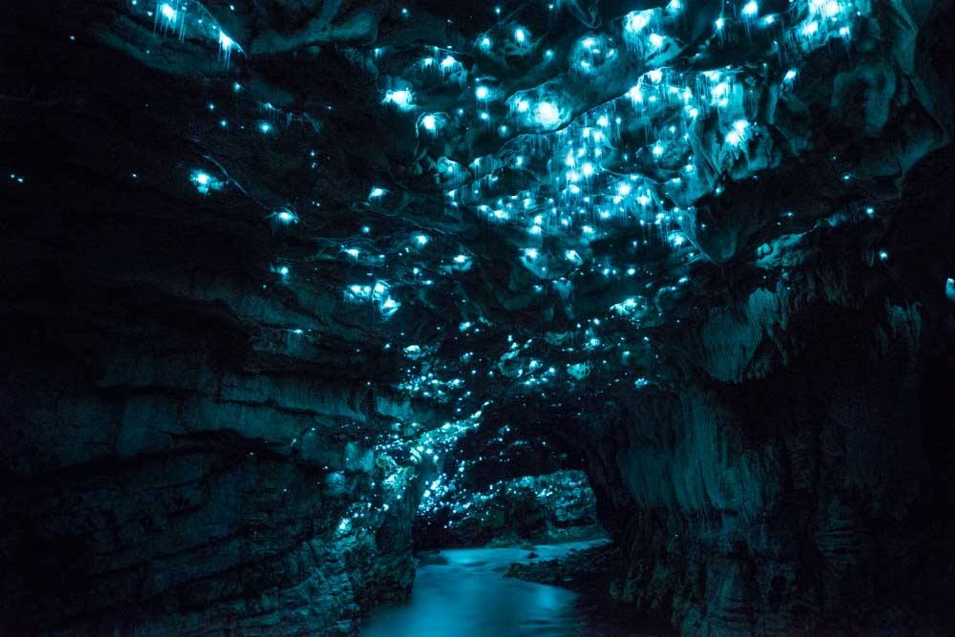 new-zealand-waitomo-glowworm-caves