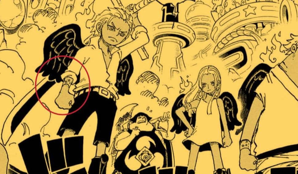 One Piece: S-Hawk - 'bản sao' của Mihawk có sở hữu năng lực trái ác quỷ không? - Ảnh 2.