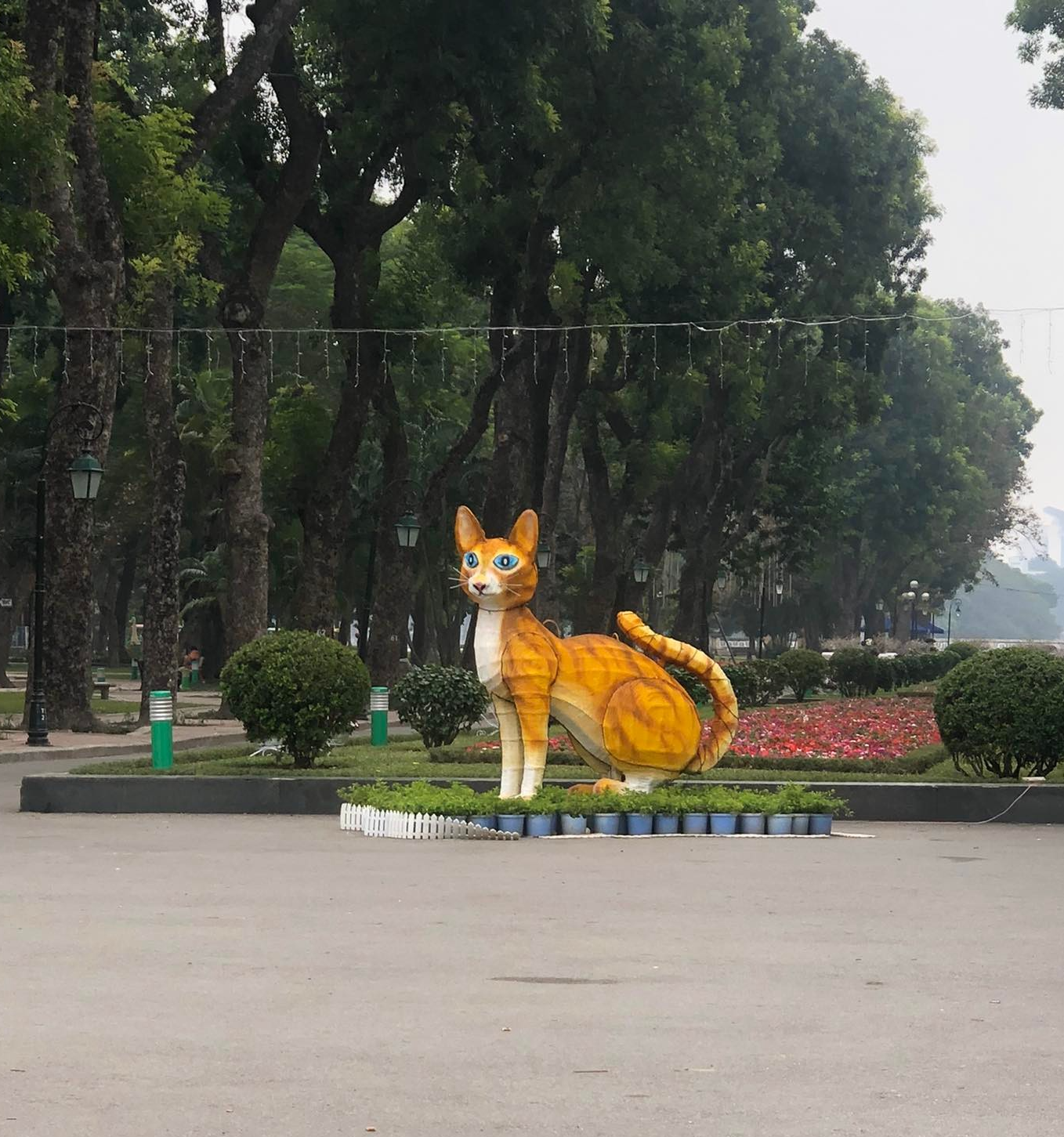 Cộng đồng mạng rần rần với những linh vật mèo gây sốt của các tỉnh thành khắp Việt Nam - Ảnh 3.