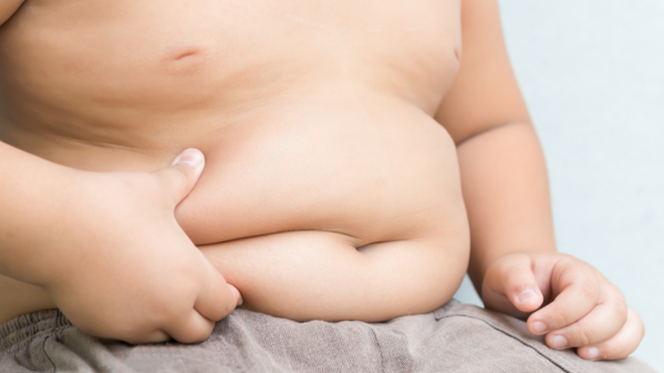 Tết nào cũng tiếp nhận hàng loạt trẻ béo phì, Viện Dinh dưỡng Quốc gia mách cha mẹ nên chuẩn bị 7 loại thức ăn để con không thừa chất