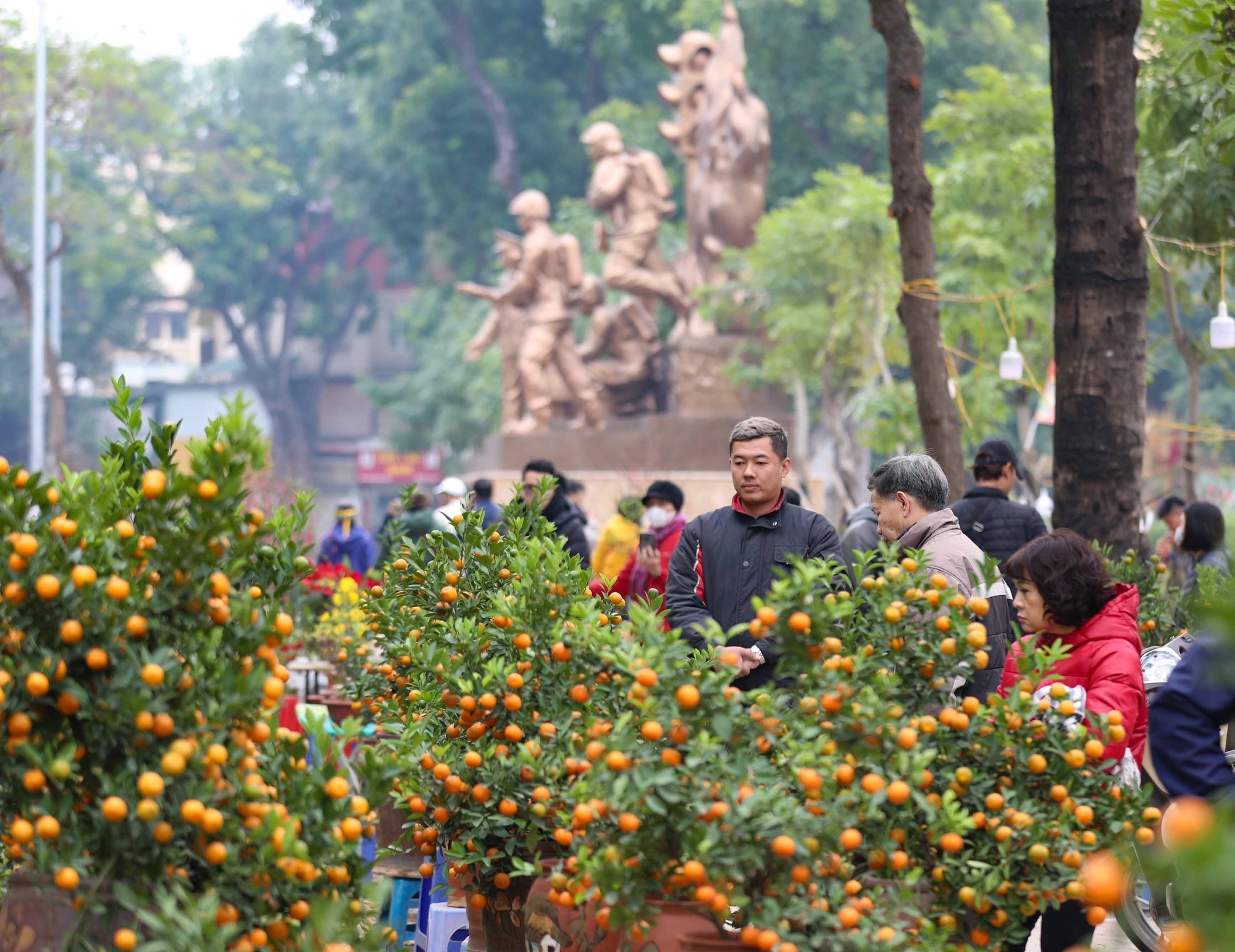 Hình ảnh chợ hoa Công viên Thống Nhất nhộn nhịp giáp Tết  - Ảnh 8.