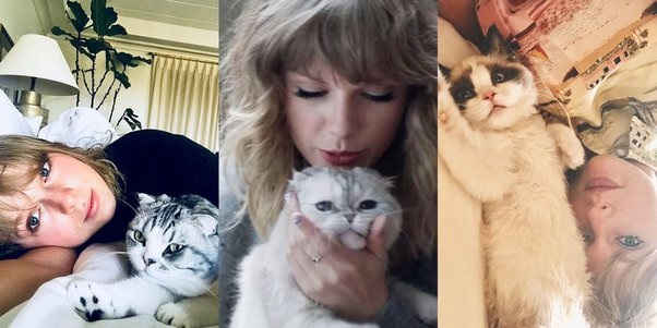 Mèo của Taylor Swift là thú cưng giàu thứ 3 toàn cầu với khối tài sản siêu khủng - Ảnh 2.