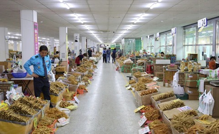 Mẹ Việt ở Hàn Quốc kể chuyện đi chợ bán &quot;rễ cây&quot; lớn nhất xứ sở kim chi, hàng bày la liệt như khoai lang nhiều đến choáng ngợp - Ảnh 2.