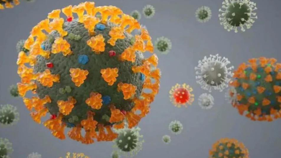 Thế giới cần cảnh giác với biến thể phụ XBB của virus SARS-CoV-2