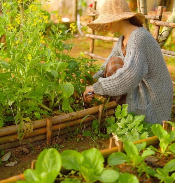 Mẹ bảo: &quot;Lương 15 triệu ở Hà Nội không bằng 7 triệu ở quê, về quê làm lấy chồng cho gần&quot; - Ảnh 1.