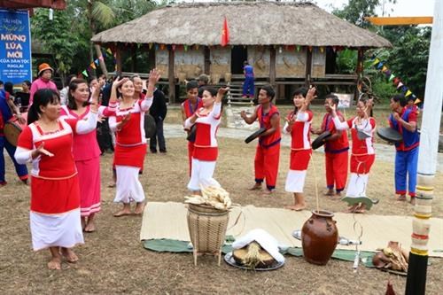 Gìn giữ phong tục Lễ hội ăn mừng lúa mới của đồng bào Raglai, T'rin - Ảnh 1.