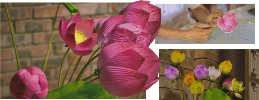 Hoa sen giấy với đa dạng màu sắc