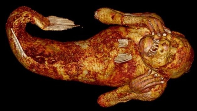 Danh tính bất ngờ của xác ướp 'nàng tiên cá' 300 năm tuổi ở Nhật Bản vừa được tiết lộ