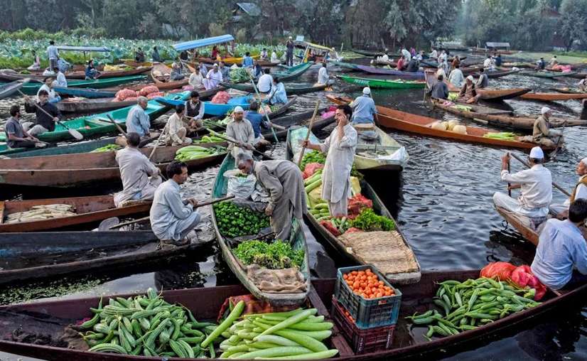 Người phụ nữ Việt kể &quot;chuyện lạ&quot; khi đi chợ với mẹ chồng ở Ấn Độ, lượn khắp chỉ để mua 2 thứ quan trọng này - Ảnh 4.