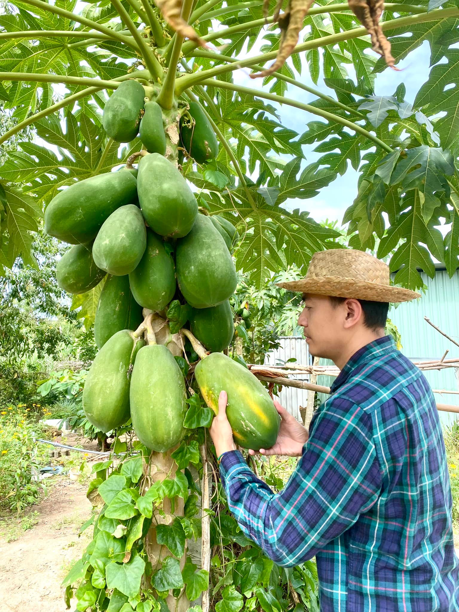 Không chỉ Siu Black, 1 nam diễn viên Vbiz cũng về quê nuôi vịt giờ có cuộc sống ra sao? - Ảnh 2.