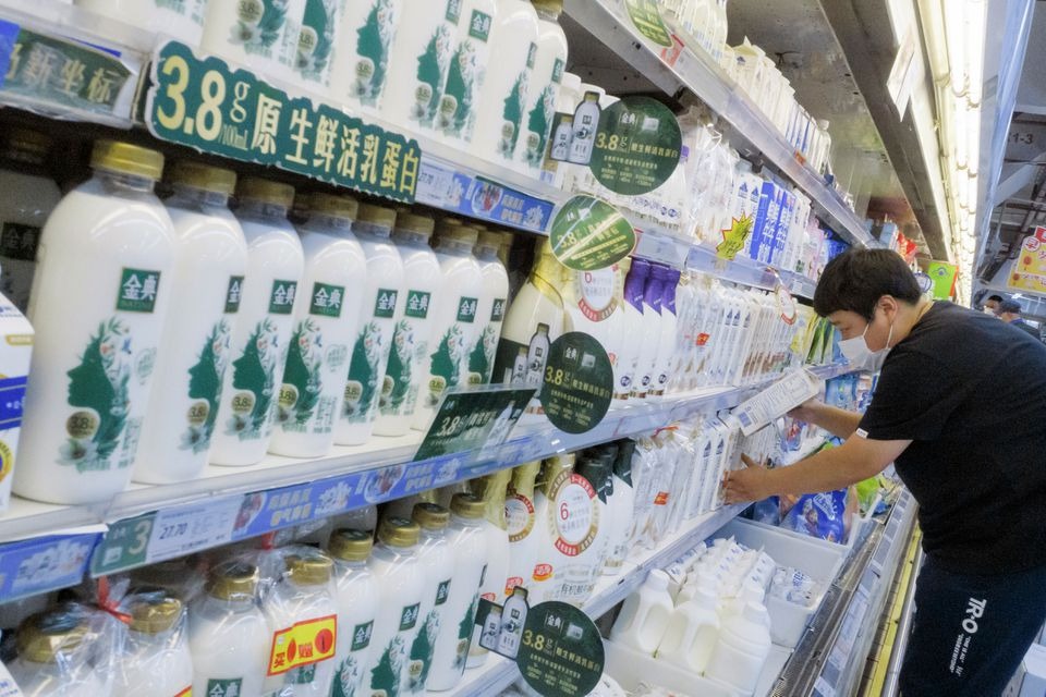 Trung Quốc tuyên bố nhân bản thành công 'siêu bò' có thể sản xuất 18 tấn sữa mỗi năm - Ảnh 2.