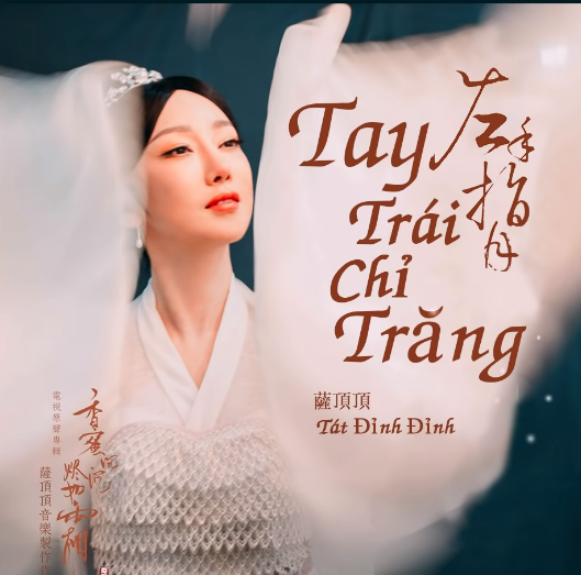 Đây là bản nhạc Trung được cover nhiều nhất dạo gần đây, ca sĩ Việt mang đi diễn khắp nơi và còn ra mắt cả MV - Ảnh 14.