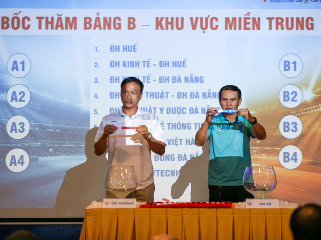 43 đội, gần 1 nghìn cầu thủ tranh tài ở giải bóng đá Thanh niên Sinh viên Việt Nam - Ảnh 2.