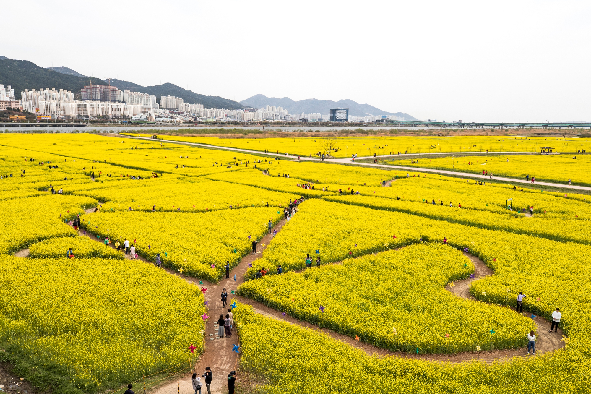 Cẩm nang cho người chơi hệ 'hoa lá cành' khi Hàn Quốc vào Xuân - Ảnh 12.